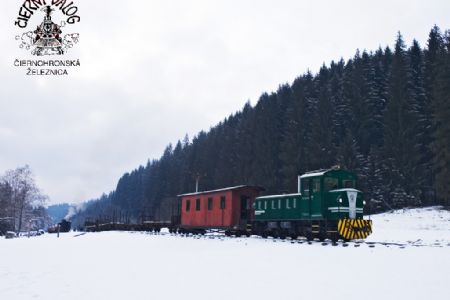 Rába s plošinovými vozňami, Autor: Marin Škoda