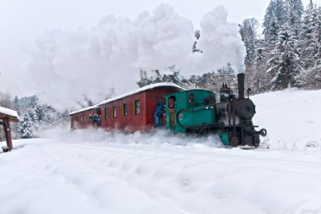 Fotoprůjezd přes Šánské, Autor: David Holbík