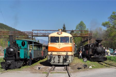 Smoschewer, Pomeranč a Cifra se vyhřívají na sluníčku, Autor: David Holbík