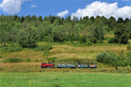 Rešica ide z Dobroče, Autor:Radim Škopec